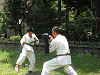 camp23 (197)_samu.gif